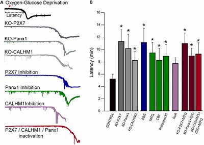 P2X7 Receptors as a Therapeutic Target in Cerebrovascular Diseases